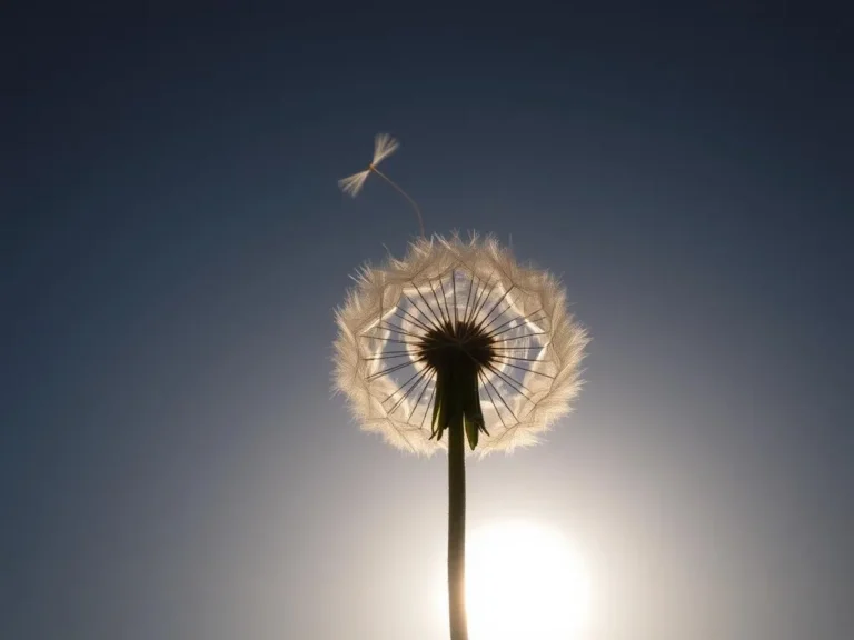 Dandelion Spiritual Meaning: Embracing the Resilience and Transformation Within