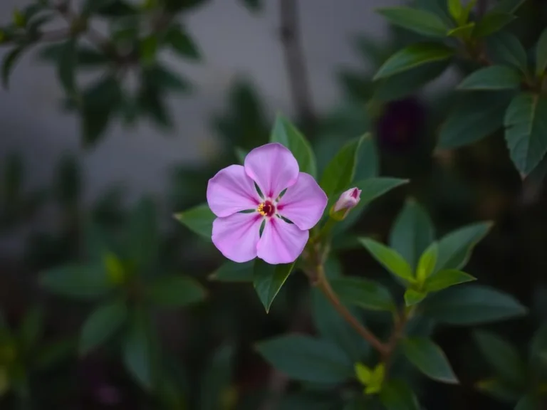 Pink Flower Spiritual Meaning: Uncovering the Essence of Spiritual Awakening