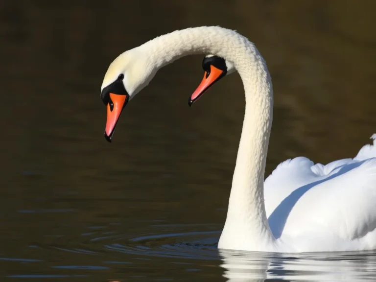 Trumpeter Swan Spiritual Meaning: Discovering the Majestic Symbolism