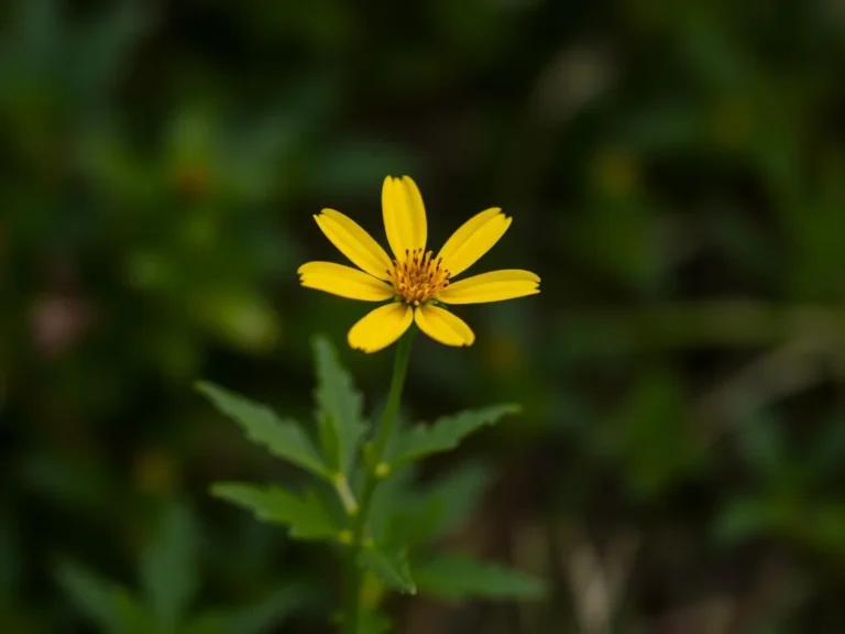 The Spiritual Meaning of Yellow Flowers: Unlocking the Secrets of Nature’s Vibrant Messengers